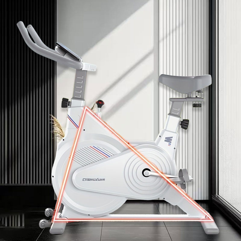 Indoor Stationary Spin Bike, S - Exercise Bike Magnetic Resistance 评论和价格